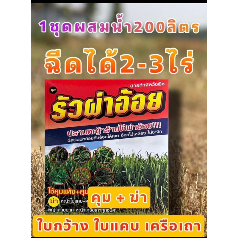 ชุดรัวผ่าอ้อยไร่อ้อย