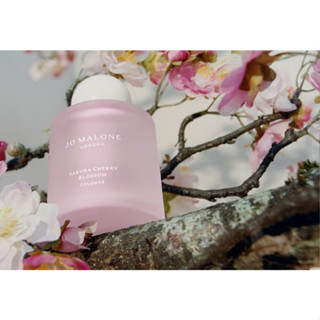 Jo malone Sakura Cherry Blossom 100ml. **ขวดลิมิเต็ด**