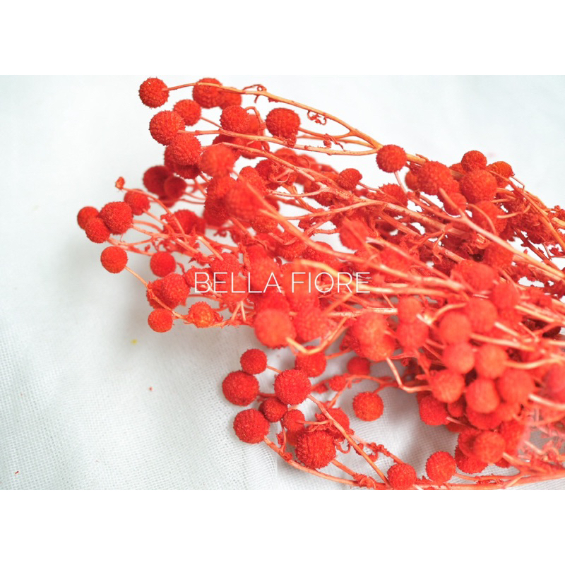 ดอกไม้แห้ง ดอกสาคูทิพย์ พร้อมส่งจากกทม เลยค่ะ ราคากำละ 85 บาท มีให้เลือกหลายสีนะคะ - รูปที่ 4