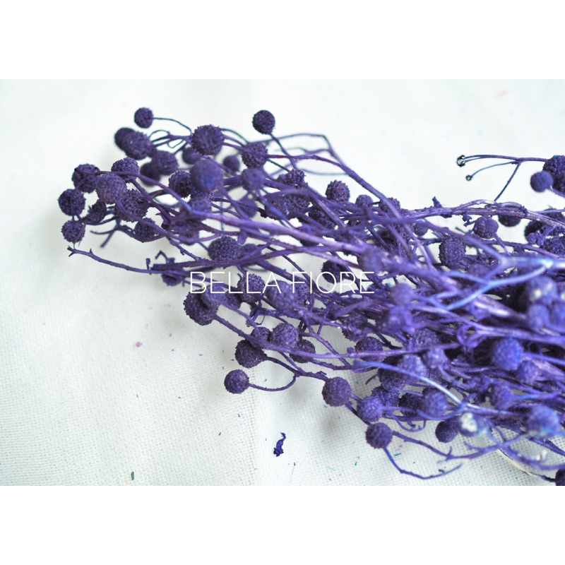 ดอกไม้แห้ง ดอกสาคูทิพย์ พร้อมส่งจากกทม เลยค่ะ ราคากำละ 85 บาท มีให้เลือกหลายสีนะคะ - รูปที่ 7