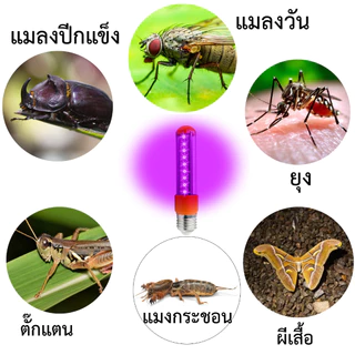 รุ่นใหม่ประหยัดไฟ ไฟดักแมลง 24W Black light ไฟม่วง หลอดแมงดา ไฟล่อแมลง แสงม่วง ไฟผับ หลอดไฟเรืองแสง แบล็คไลท์ ไฟแมงดานา