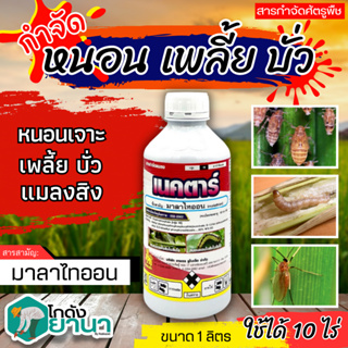 🌾 เนคตาร์ (มาลาไทออน) ขนาด 1ลิตร กำจัดด้วงหมัดผัก เพลี้ยแป้ง เพลี้ยหอย บั่ว ไรมวนแดง มวนเขียว