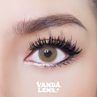 VANDA LENS คอนแทคเลนส์สายฝอ รุ่น Topaz Brown (ใส่ค่าสายตาในหมายเหตุ)