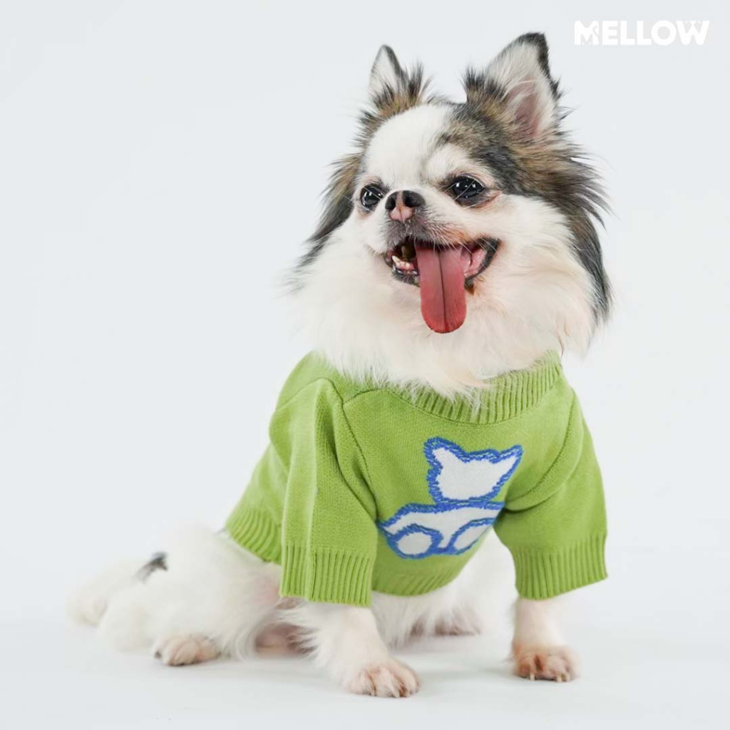 GREEN TEDDY BEAR (เสื่อผ้าสำหรับน้องหมาน้องแมว)