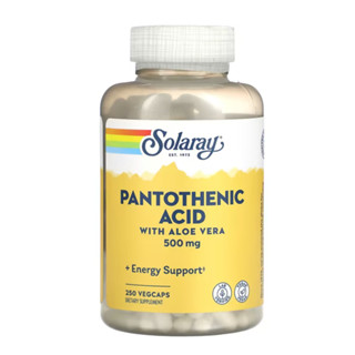 Solaray, Pantothenic Acid, 500 mg, 250 VegCaps