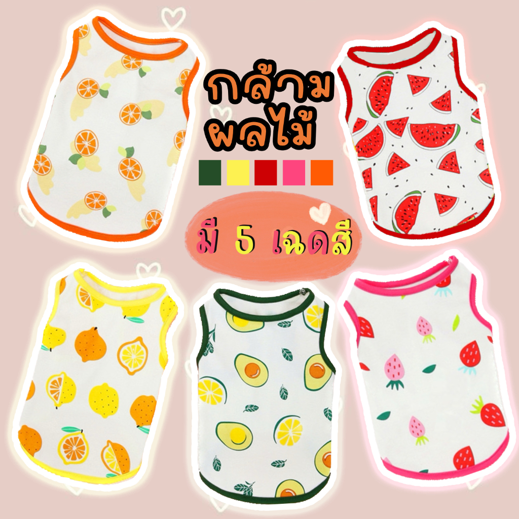 เสื้อสัตว์เลี้ยงหน้าร้อน กล้ามบาง ชุดแมว