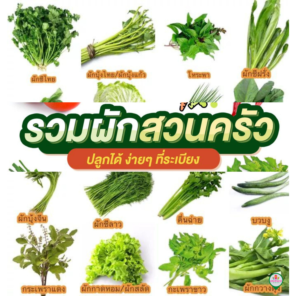 รวมพืชผักสวนครัว กิ่งพันธุ์ ต้นพันธุ์ เมล็ดพันธ์ุ มีให้เลือกหลากหลายชนิด