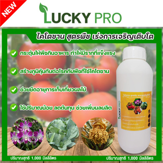 เร่งการเจริญเติบโตช่วยฟื้นต้นโทรมช่วยยืดอายุการเก็บเกี่ยวLUCKYPRO1000MLปุ๋ยน้ำไคโตซานสูตรพืชเร่งใบแตกยอดแตกกอพืชดูดซึมไว