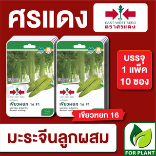 เมล็ดพันธุ์ผัก ผักซอง มะระจีน เขียวหยก F1 ตราศรแดง บรรจุแพ็คล่ะ 10 ซอง ราคา 230 บาท