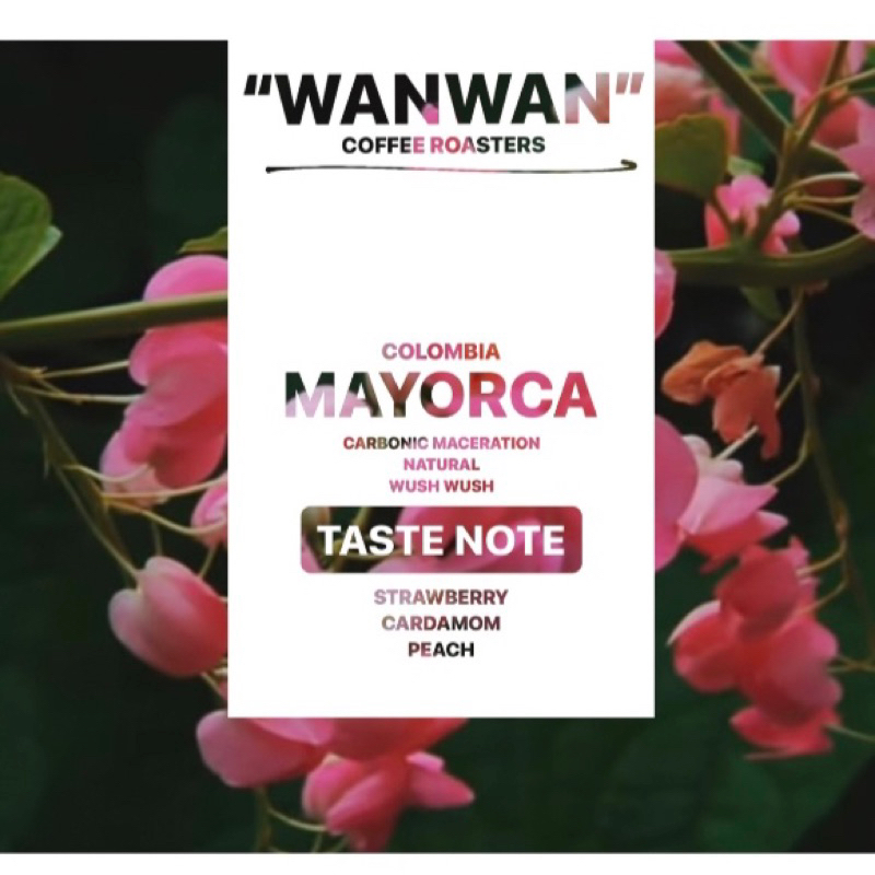 WANWAN-Single Origin - Colombia (wush wush)