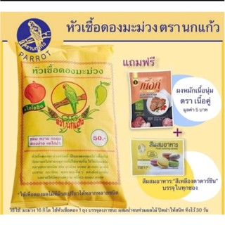 หัวเชื้อดองมะม่วง(ผลไม้)ตรา นกแก้ว แถมผงหมักเนื้อ ตราเนื้อคู่ (600g)