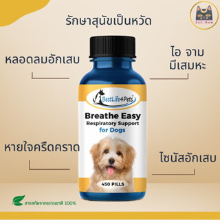 ส่งฟรี!! (ใช้โค้ด) Breathe Easy (Dog) ดูแลอาการหวัดสุนัข ยกขวด