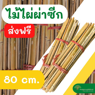 (ส่งฟรี)ไม้ไผ่ผ่าซีก 80 cm. ไม้หลักดามต้นไม้,ไม้ปักหลักต้นไม้ (เกาะต่างๆสั่งซื้อขั้นต่ำ 5 รายการ)