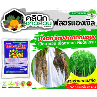 🥬 ฟลอร์แองเจิล (สาหร่ายทะเลสกัด) บรรจุ 100กรัม เร่งราก ยืดยอด แตกแขนง