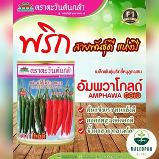 พริกอัมพวาโกลด์ ตราตะวันต้นกล้า [50กรัม]