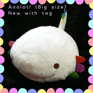 Axolotl  plush ✈️🇯🇵 size22" (56CM.) แอ๊กโซลอเติ้ล ตุ๊กตาซาลาแมนเดอร์ ตุ๊กตาญี่ปุ่น ตัวใหญ่