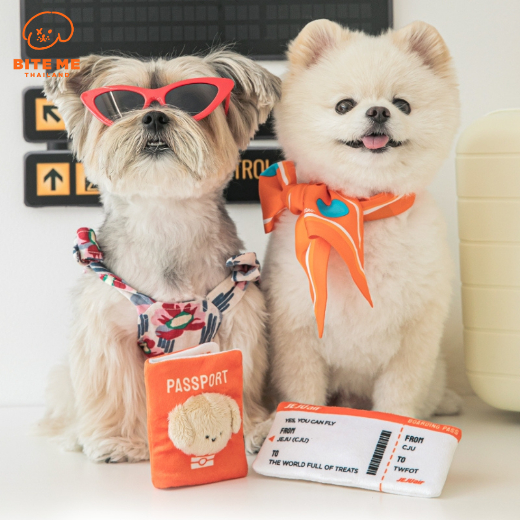 Bite Me x Jeju air Pet Passport & Ticket Nosework Toy Set ของเล่นสำหรับสุนัข นำเข้าจากประเทศเกาหลี🇰🇷