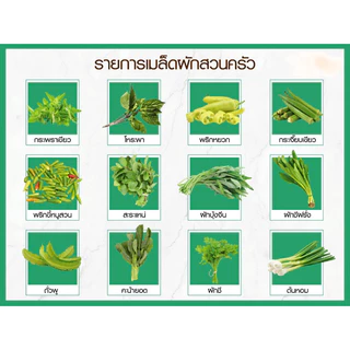 🔥 [รวมฮิต 5แถม 1] 🔥 เมล็ดพันธุ์ผักสวนครัวประจำบ้าน ปลูกง่าย โตไว 📌สินค้าราคาคุ้มค่าได้มาตรฐาน📌 ✅อัตราการงอกและรอดสูง✅