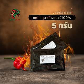 ขนาดทดลอง 5 กรัม Carolina Reaper Powder 100% พริกที่เผ็ดที่สุดในโลก