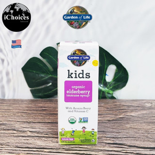 [Garden of Life] Kids Organic Elderberry Immune Syrup 116 ml อัลเดอร์เบอร์รี่ สำหรับเด็ก 4 ขวบขึ้นไป เพื่อสุขภาพที่ดี