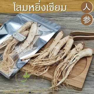 โสมคนหยิ่งเซียม 100 250 500 กรัม 人参 ren shen โสมหยิ่งเซียม ยินเซียม โสมขาว หัวโสม รากโสม Radix Ginseng โสมจีน