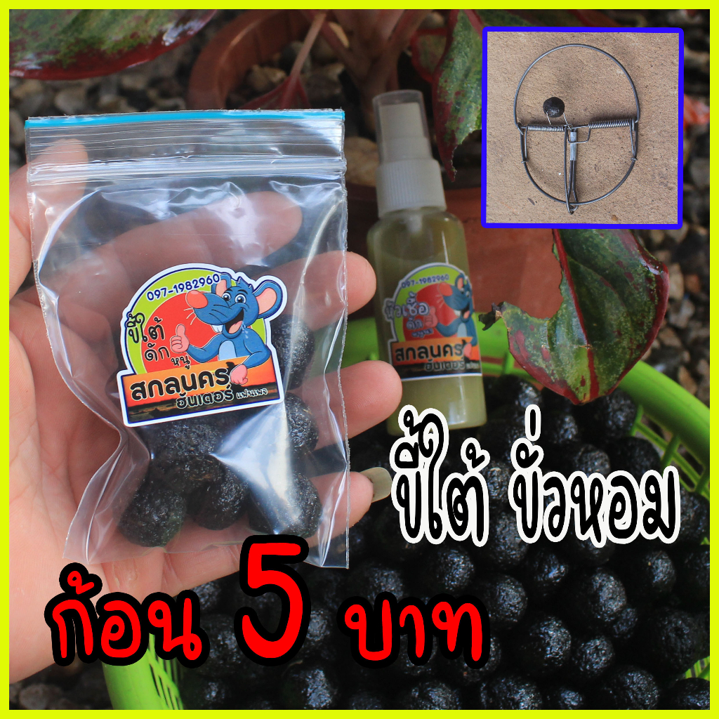 ขี้ใต้หอมพร้อมใช้ ขี้ใต้ดักหนู ก้อนพอดีเหมาะ สำหรับหนูแผง หนูใหญ่ ชอบมาก 1 ถุงมี 10 ก้อน
