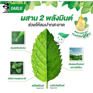 etbeauty [ แพ็คคู่x150g. ] ยาสีฟันดาร์ลี่150g. 1แพ็ค