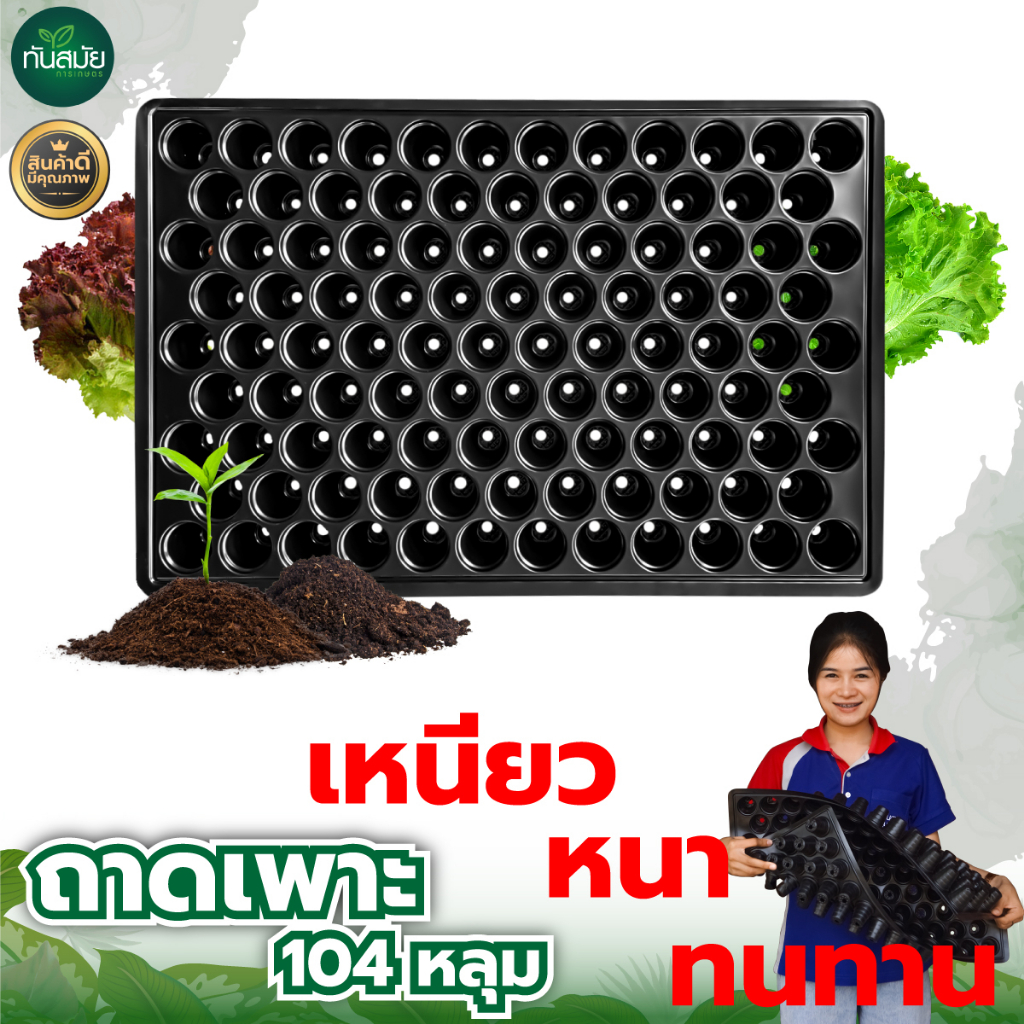 ถาดเพาะกล้า 104หลุม (สั่งขั้นต่ำ3ใบ) แยกชิ้น ถาดเพาะเมล็ดกะท่อม เพาะเมล็ด ถาดพลาสติก ถาดเพาะต้นอ่อน