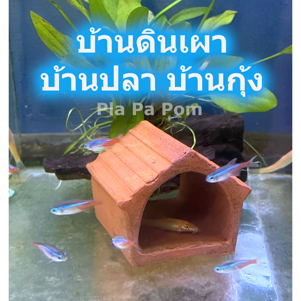 บ้านดินเผา บ้านกุ้ง บ้านปลา บ้านหนูแฮมเตอร์ บ้านสัตว์ ตกแต่ง ตู้ปลา อ่างน้ำตก