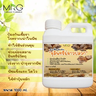 หัวเชื้อจุลินทรีย์จาวปลวก 1ลิตร จุลินทรีย์จ้าวปลวก (สูตรเข้มข้น) ป้องกันเชื้อรา เร่งราก ช่วยย่อยสลาย พืชโตไว ทำปุ๋ยหมัก