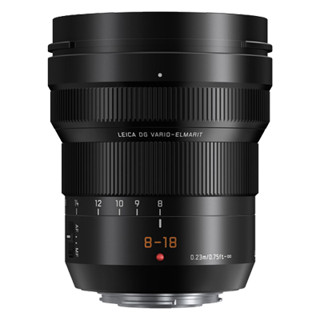 Panasonic Leica DG Vario-Elmarit 8-18mm f/2.8-4 ASPH