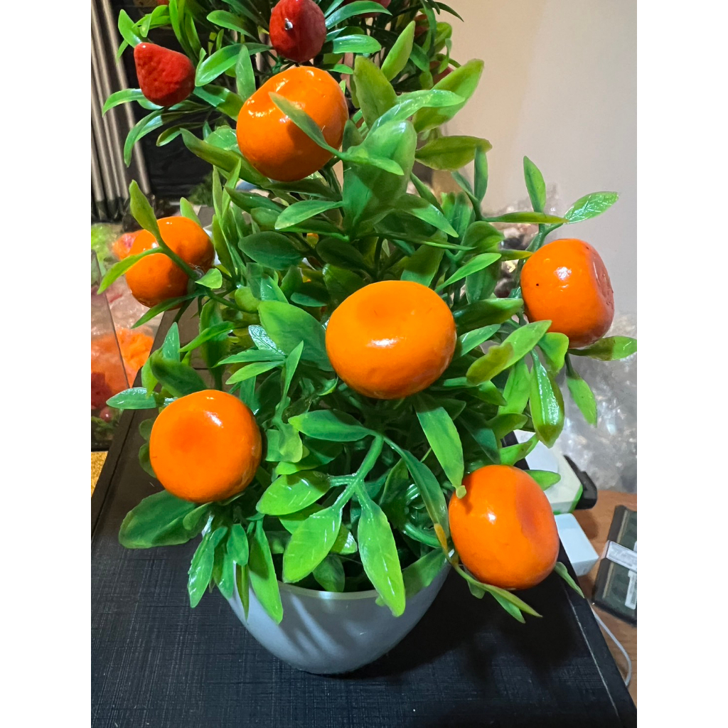 ต้นส้ม ต้นส้มมงคลลูกดก ต้นส้มจี๊ด15*7 ซม. ต้นส้มพร้อมกระถาง  ต้นส้มปลอม พร้อมกระถางสวยมากๆๆ