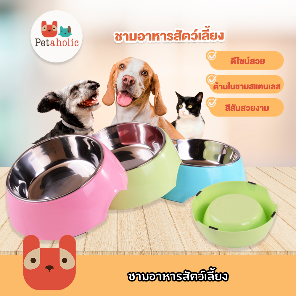 ชามอาหารสัตว์เลี้ยง ชามอาหารแมว ชามอาหารหมา ที่ให้น้ำและอาหารสัตว์เลี้ยง Pet Stainless Bowl