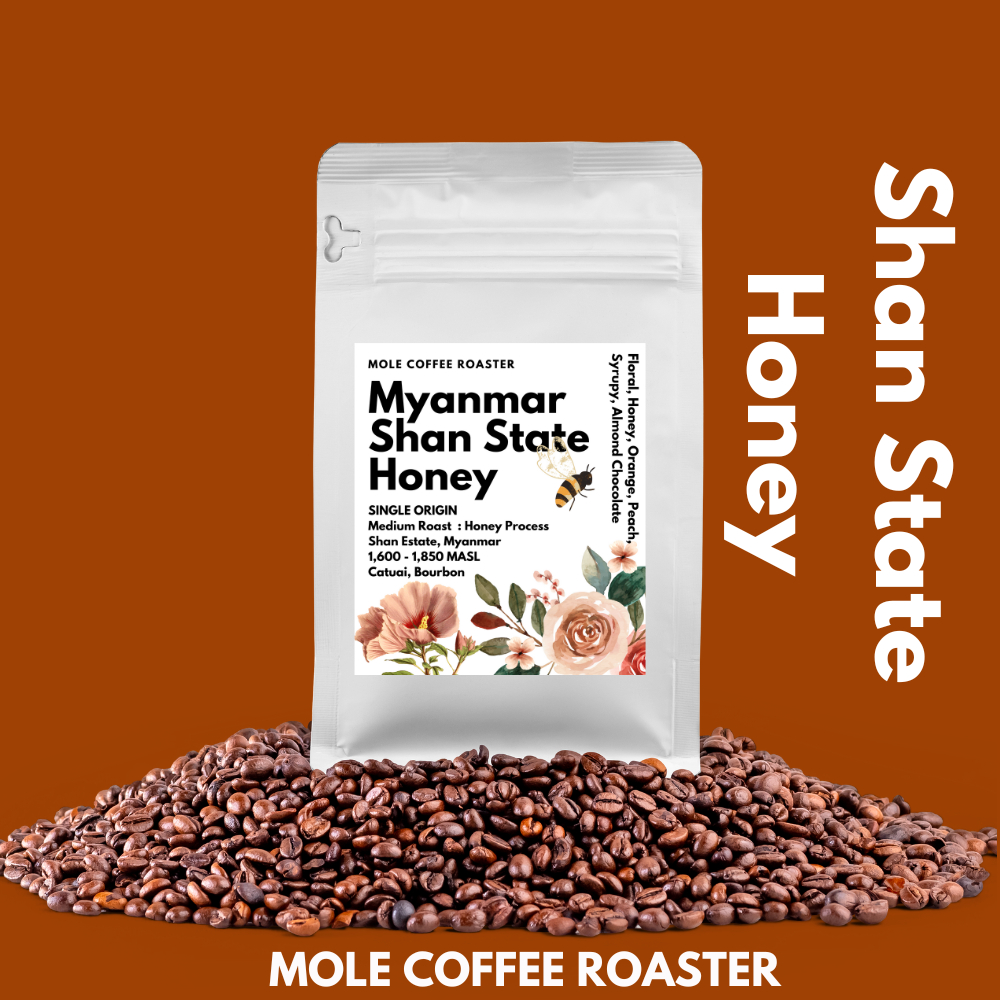 Mole Coffee : เมล็ดกาแฟคั่ว Myanmar Shan State Honey ถูก คุ้มค่า ส่งไว คั่วใหม่ 250 กรัม