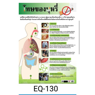 โทษของบุหรี่   EQ 130  โปสเตอร์สื่อการสอน หุ้มพลาสติก ขนาด 50 * 70 cm