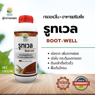 รูทเวล (Root-well) - กรดอะมิโน+อาหารเสริมพืชสูตรพิเศษ เร่งราก เร่งต้น เร่งใบ ฟื้นต้นไว ใช้ได้ทุกระยะ