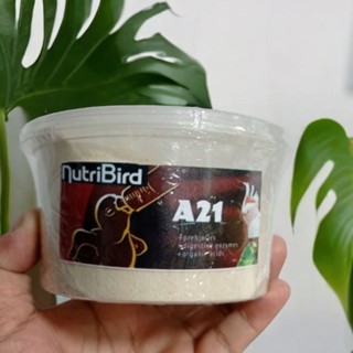 อาหารลูกป้อน​ Nutribird A21 ขนาด 200 g.