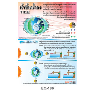 น้ำขึ้นน้ำลง EQ 186 โปสเตอร์สื่อการสอน หุ้มพลาสติก ขนาด 50 * 70 cm