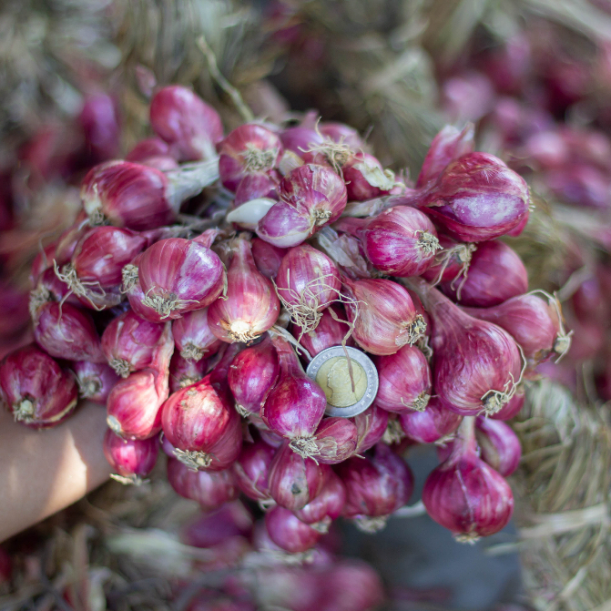 หอมแดงมัดจุก ศรีสะเกษแท้100% ตรงปก คุณภาพดี เนื้อแน่น หัวสวย 500-1000 กรัม - รูปที่ 2