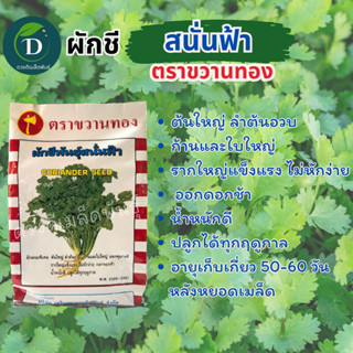 ผักชีสนั่นฟ้า ตราขวานทอง 300กรัม กอใหญ่ ต้นใหญ่ แข็งแรง เมล็ดผักชีขวานทอง