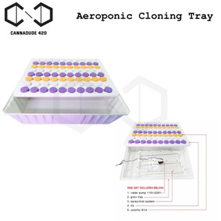 ถาดโคลน เซ็ทน้ำ Aeroponic cloning set hydroponic โคลนง่ายๆด้วย ระบบน้ำ ปักชำน้ำ