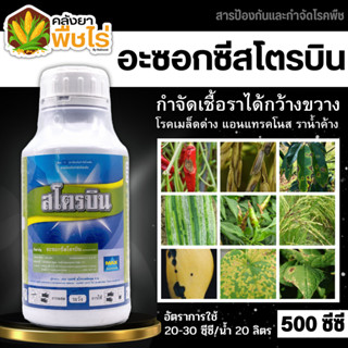 🌽 สโตรบิน (อะซ็อกซีสโตรบิน) 500ซีซี ป้องกันเชื้อรากาบใบแห้ง แอนแทรคโนส