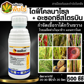 🌽 ออติวา (อะซอกซีสโตรบิน+ไดฟีโนโคนาโซล) 500ซีซี ป้องกันเชื้อรากาบใบเน่าในข้าว