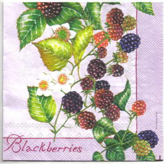 Pladao Napkin ภาพวินเทจ ผลไม้ Blackberry แบล็คเบอร์รี่ กระดาษ แนพกิ้น สำหรับงานศิลปะ เดคูพาจ decoupage ขนาด L 33x33