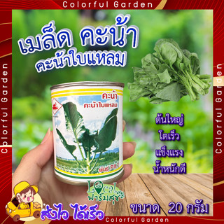 เมล็ดผักคะน้า 20 กรัม ตรารถถัง 🍃 ผักคะน้า  เมล็ดพันธุ์ ผักคะน้าใบแหลม  เมล็ดพันธุ์ผักสวนครัว เมล็ดคะน้า อัตราการงอกสูง