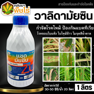 🌽 แซดมัยซิน (วาลิดามัยซิน) 1ลิตร สารป้องกันโรคใบไหม้ในนาข้าว