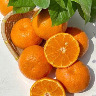 🍊ส้มแมนดารินใต้หวัน(1kg)พร้อมส่ง✅