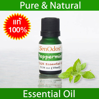 SenOdos น้ำมันหอมระเหยแท้ 100% กลิ่นเปปเปอร์มิ้นต์ Peppermint 100% Pure Essential Oil 10 ml.