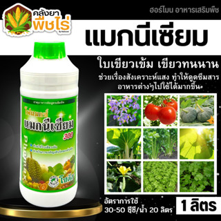 🌽 โฟแมกซ์ (แมกนีเซียม) 1ลิตร ช่วยให้ใบพืชเขียวเข้ม พืชตระกูลแตง พืชตระกูลกะหล่ำ พืชหัว ถั่ว มะเขือต่างๆ ไม้ผล ไม้ดอก