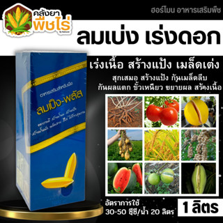 🌽 ลมเบ่งพลัส (อาหารเสริมสูตรพิเศษ) 1ลิตร สุกเสมอ เมล็ดแน่น สร้างแป้ง เพิ่มน้ำหนัก